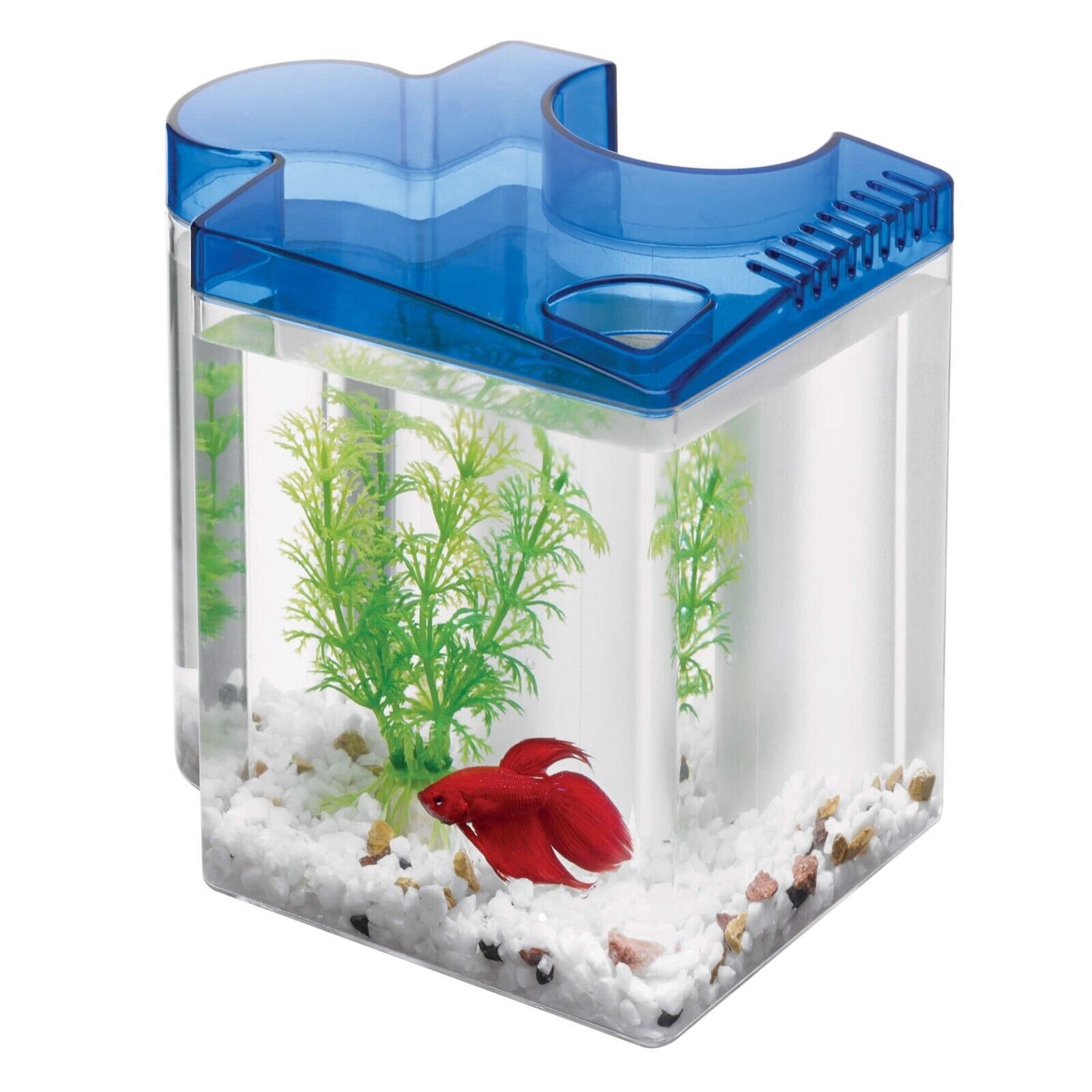 AQ pescera para peleadores B