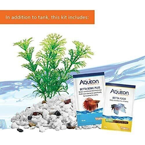 AQ pescera para peleadores C