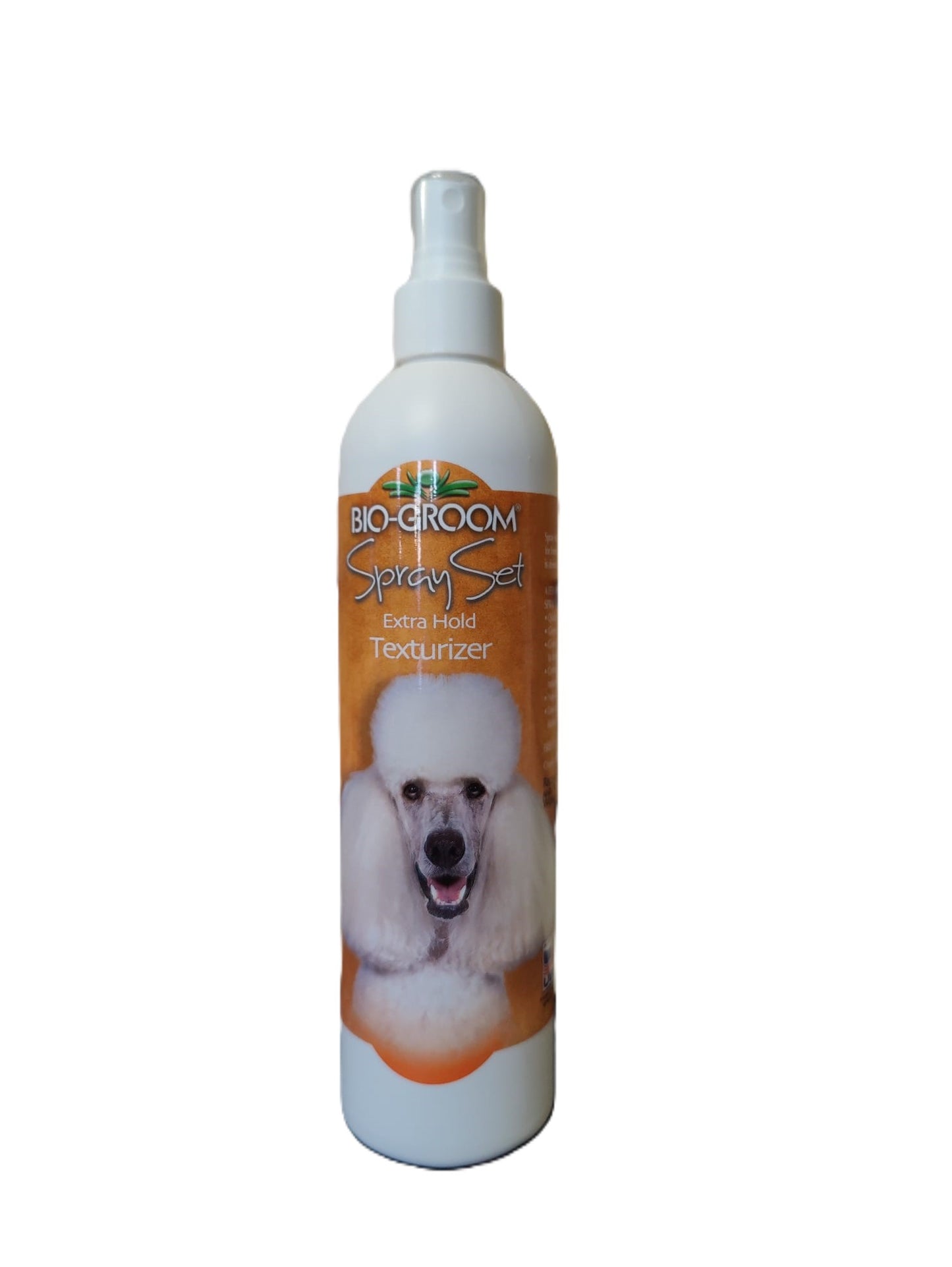 Bio-Groom-SpraySEtExtraHoldTexturizer-12-Ounce-Front-1