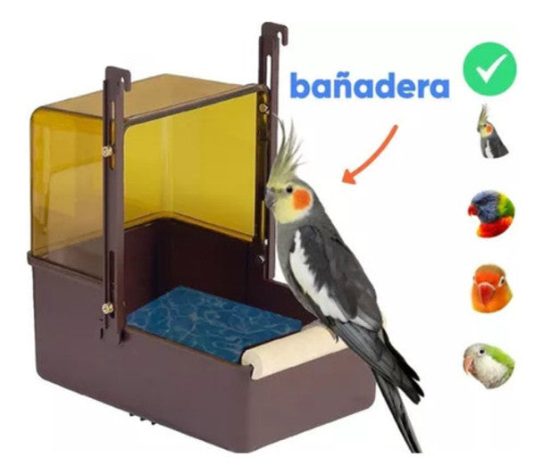 CockatielBathfrontLIFE