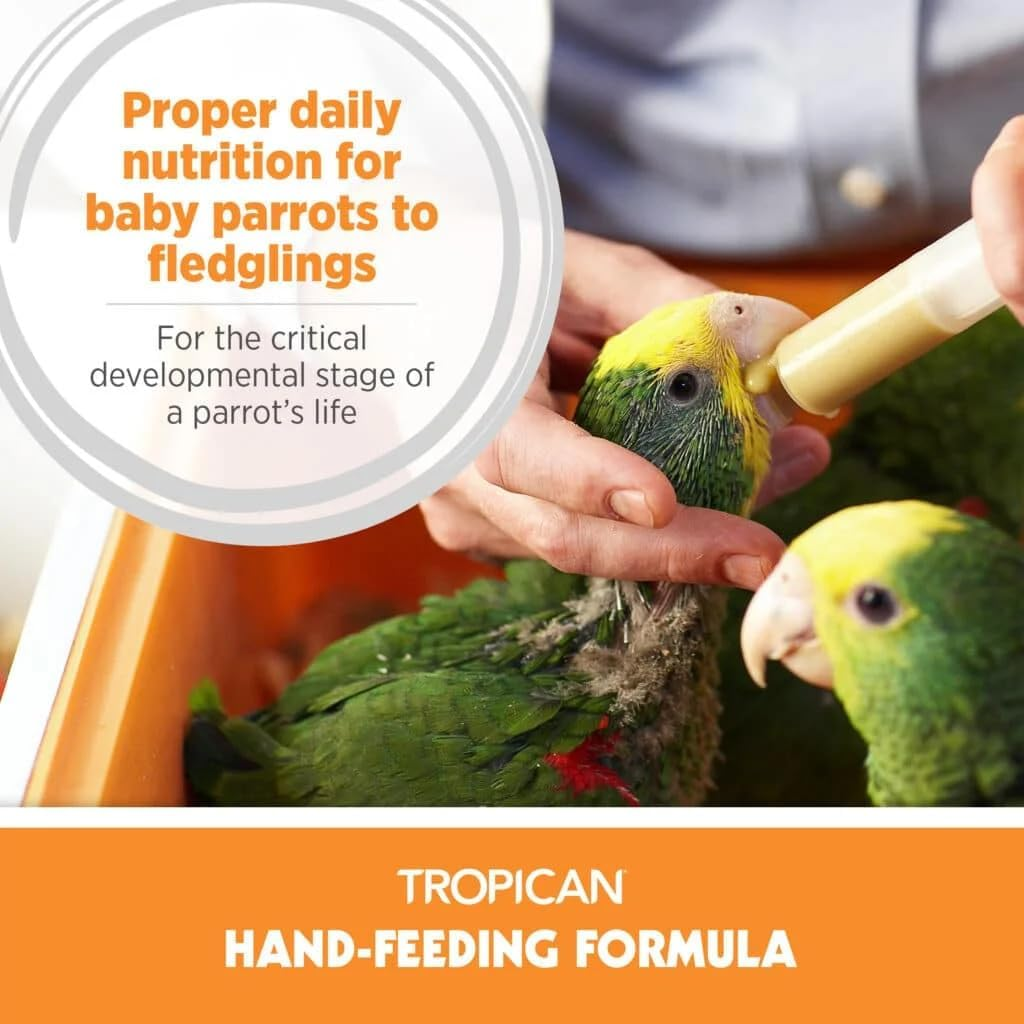 HagenTropicanParrotFoodHAnd-Feeding4