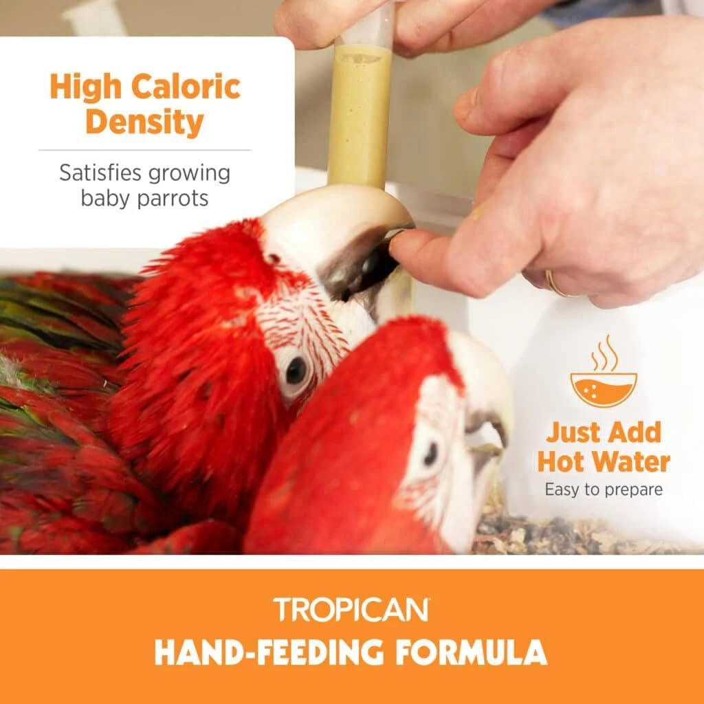 HagenTropicanParrotFoodHAnd-Feeding5