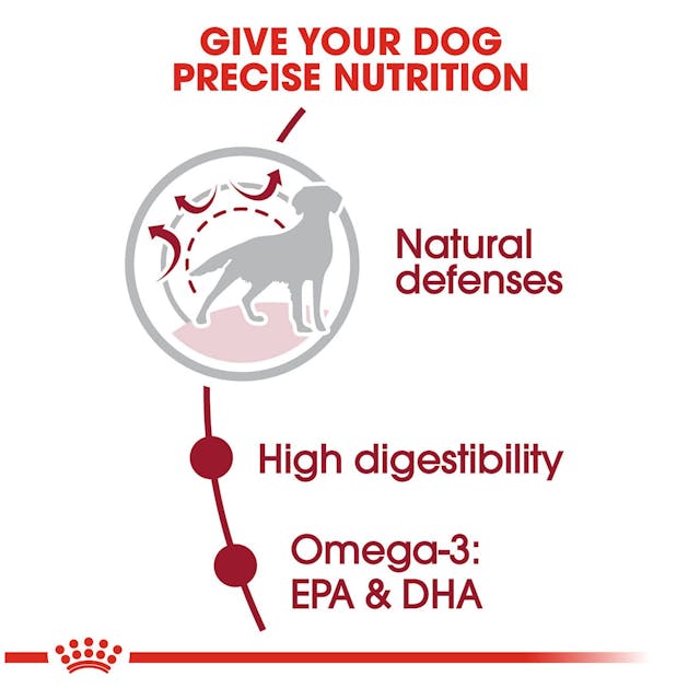 Royal Canin Alimento seco para cachorros grandes guide