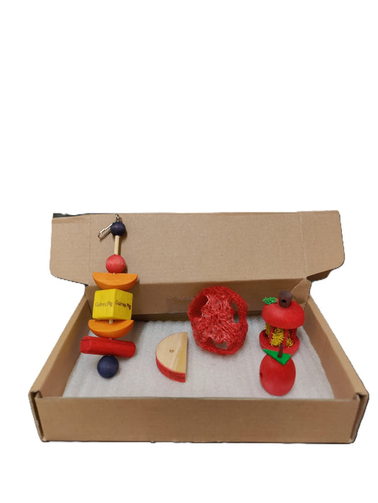 KayteeChew_TreatToyAssortmentForGuineaPigsCAJITA