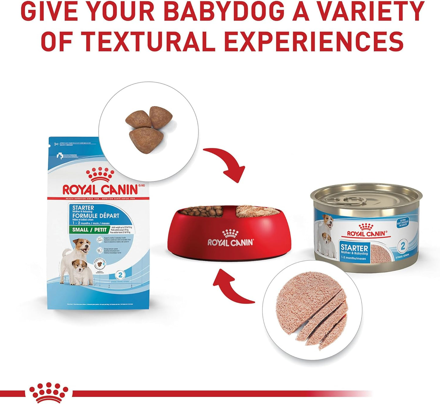 Royal Canin Alimento de iniciación seco para la madre y sus bebés c