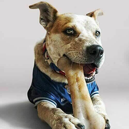 Pet Qwerks Hueso saborizado, juguete masticable duradero a