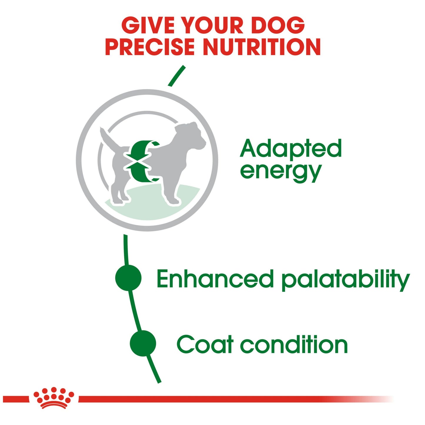 Royal Canin - Alimento para perro Adulto de raza pequeña GNuta