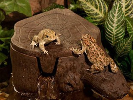 Tetra Decorative Woodland Reptile Filter L