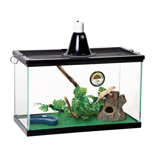 Zilla Kit inicial básico, ideal para reptiles tropicales juveniles LIVE
