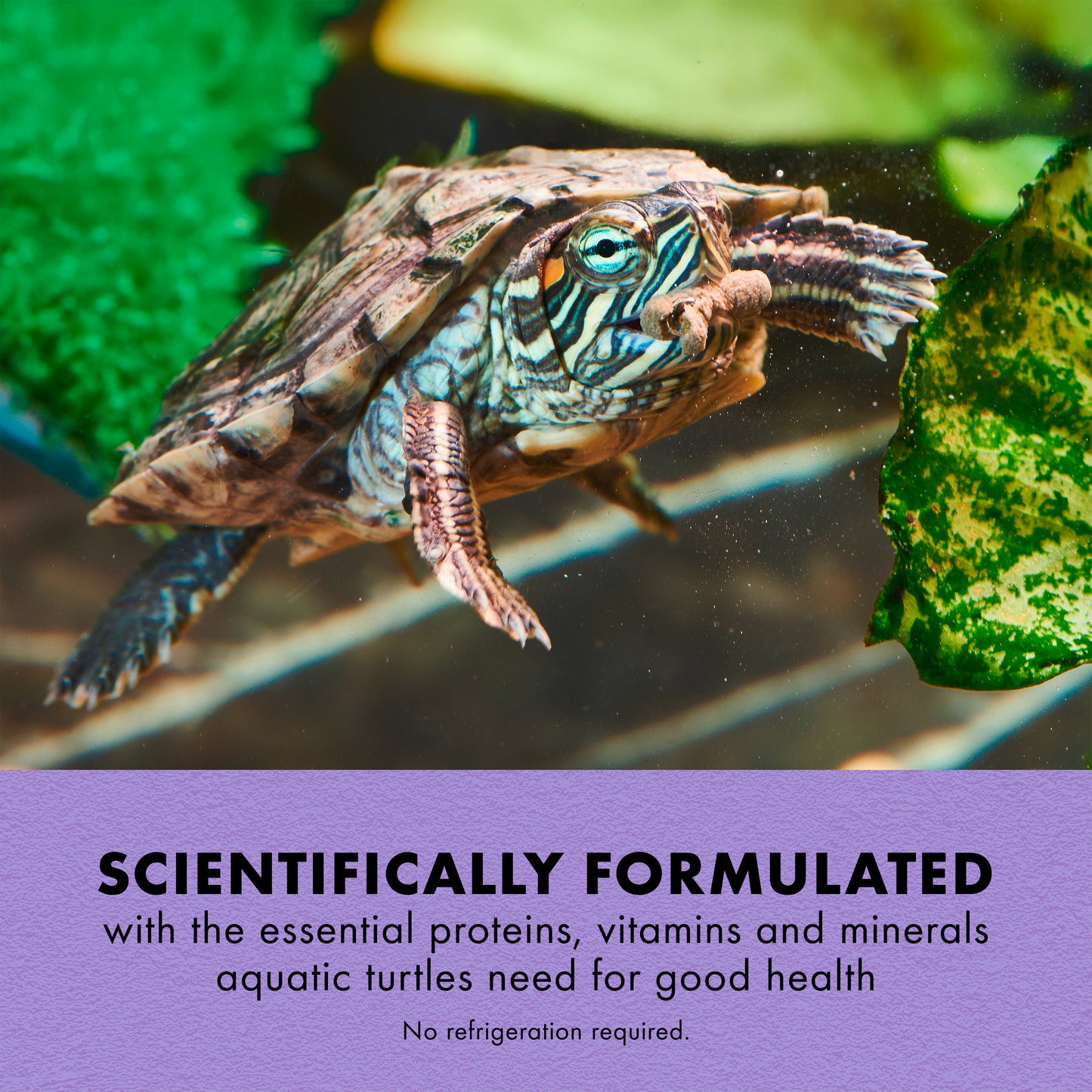 Aquatic turtle swimming with text about scientifically formulated products for turtles.