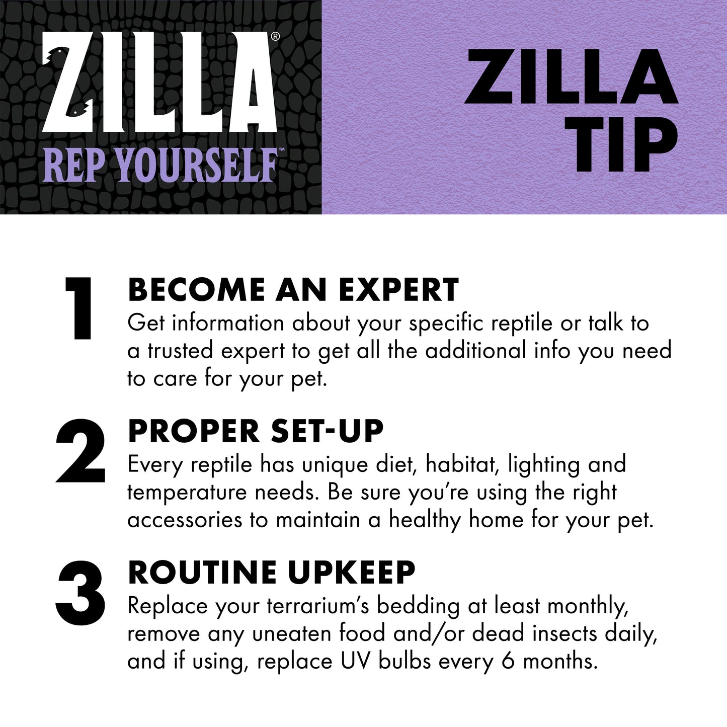 Zilla pet care tips with text on a white background