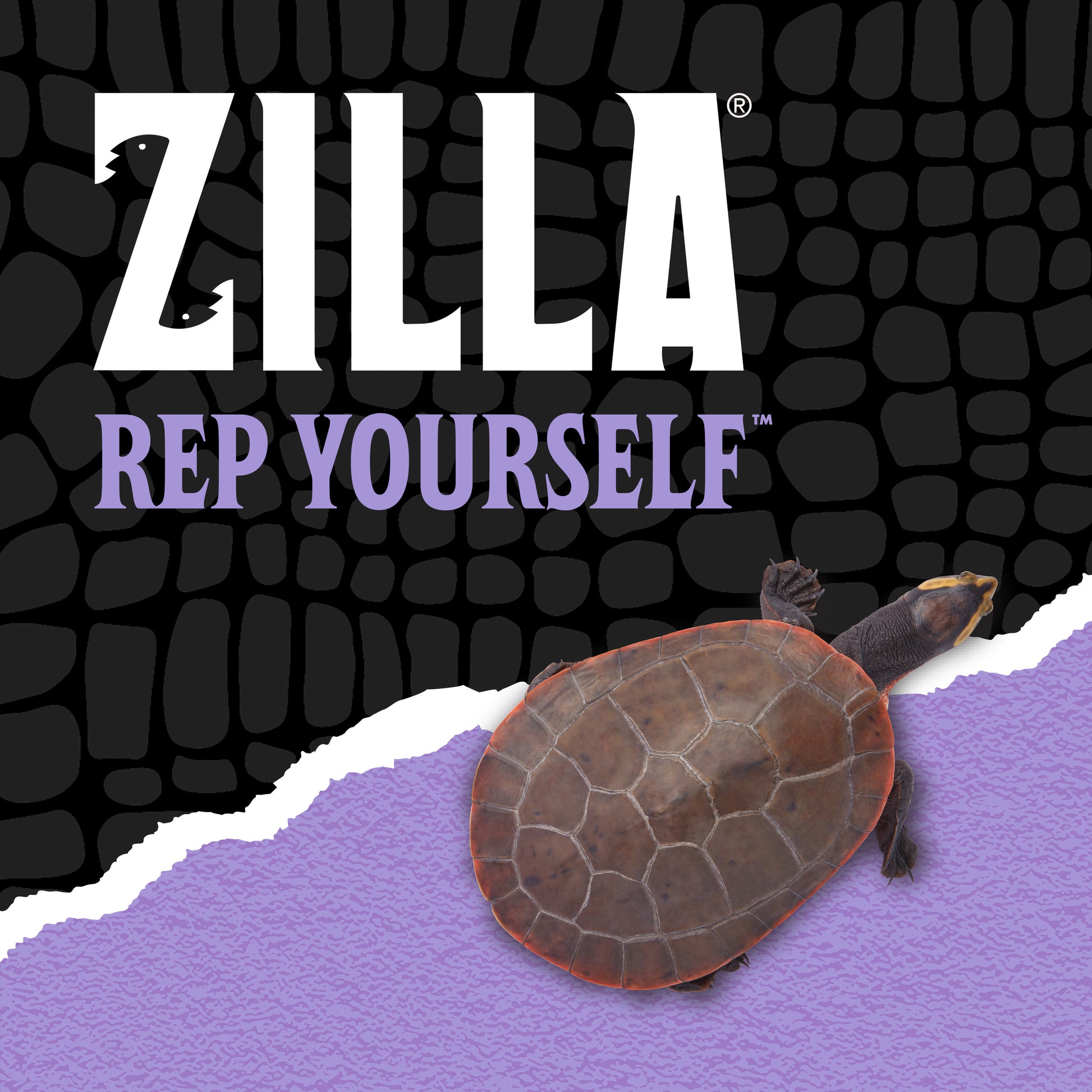 Tortoise on a purple surface with 'Zilla' branding and text.