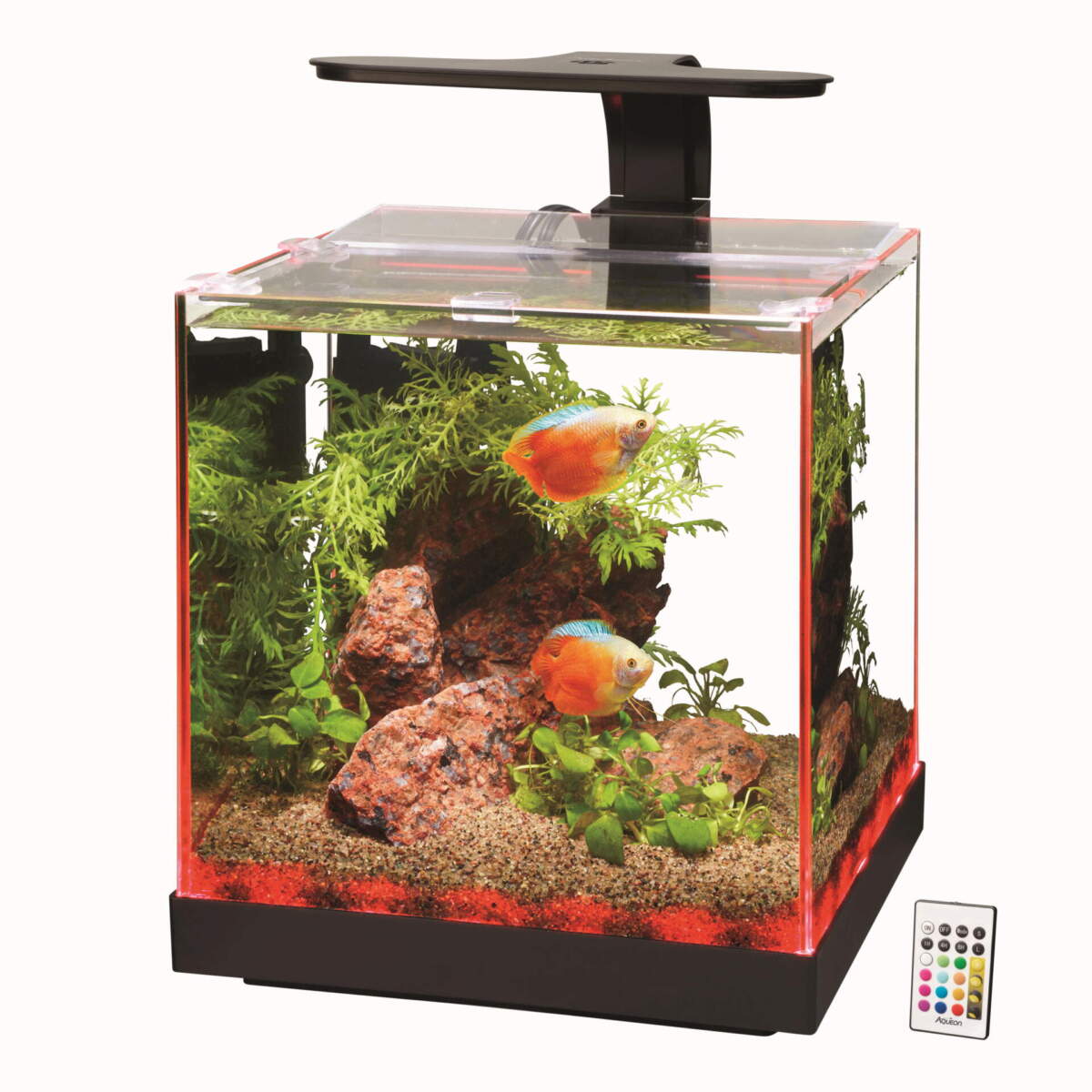 Fish tank with two colorful fish, plants, and a remote control on a white background