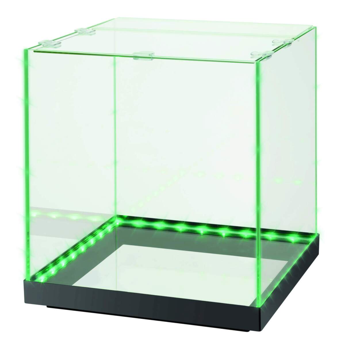 Clear glass display case with green LED lighting on a white background