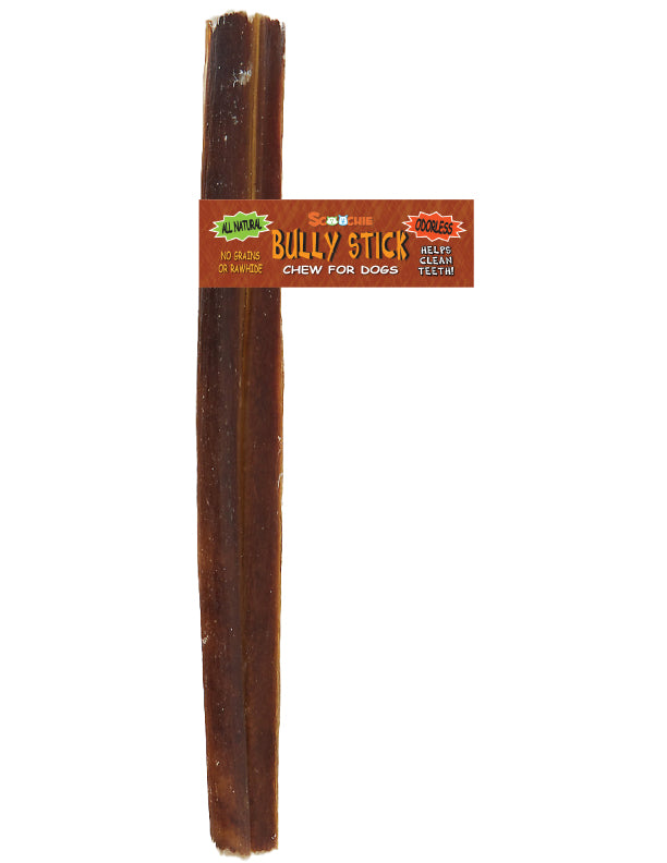 12 Inch Bully Stick With Scoochie Cigar Band