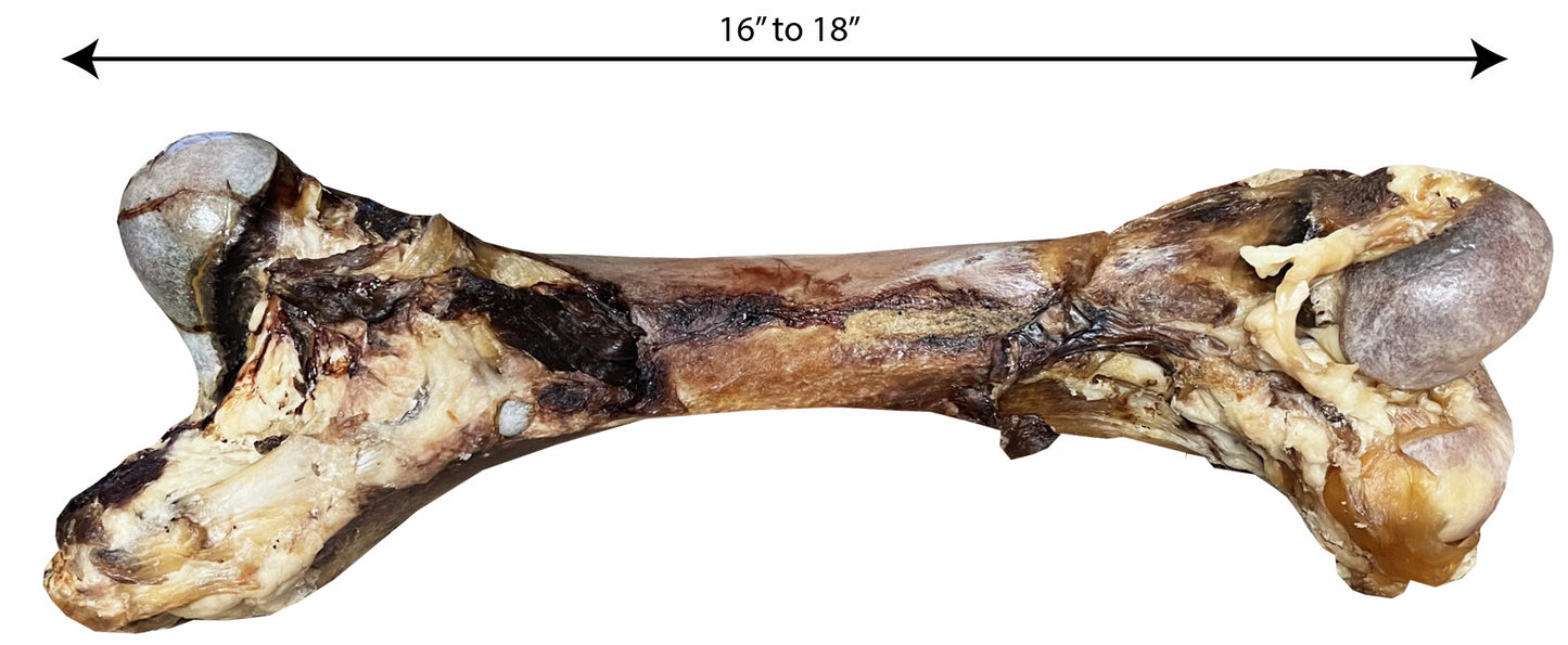 16-18InchMonsterNaturalMeatyBone-ScoochieCigar Measures
