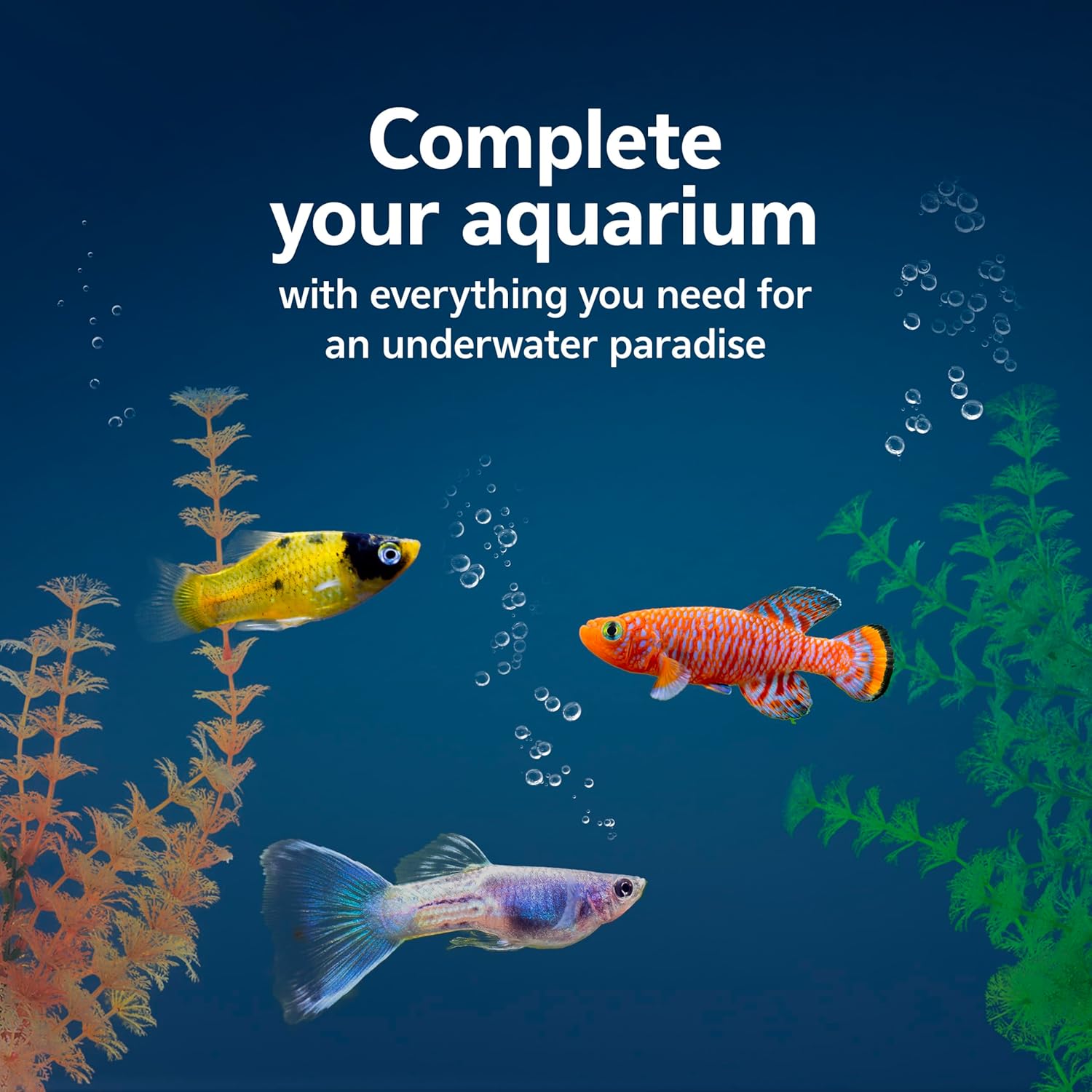 Aqueon Aquarium Essentials Kit COLOR 