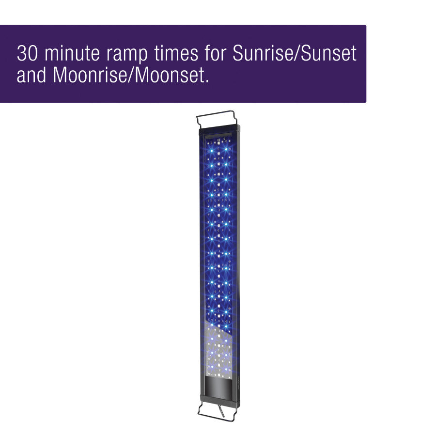 COralife LED Seascape LAMP 5
