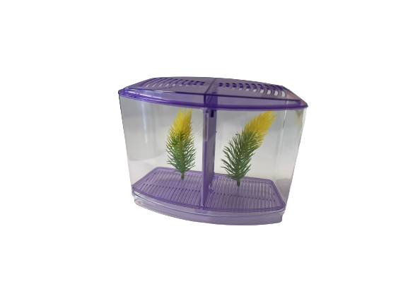 Caja  doble Beta Purple