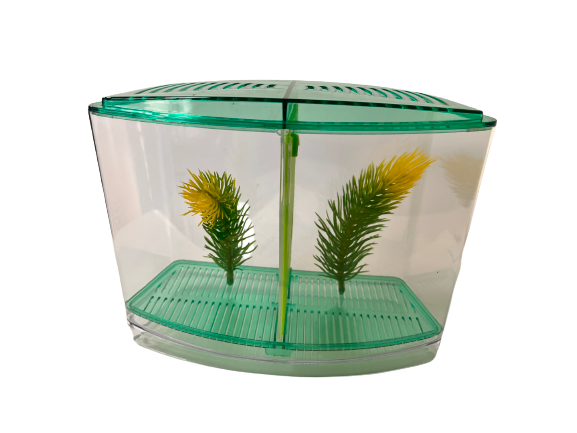 Caja  doble Beta Green