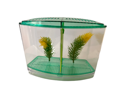 Caja  doble Beta Green