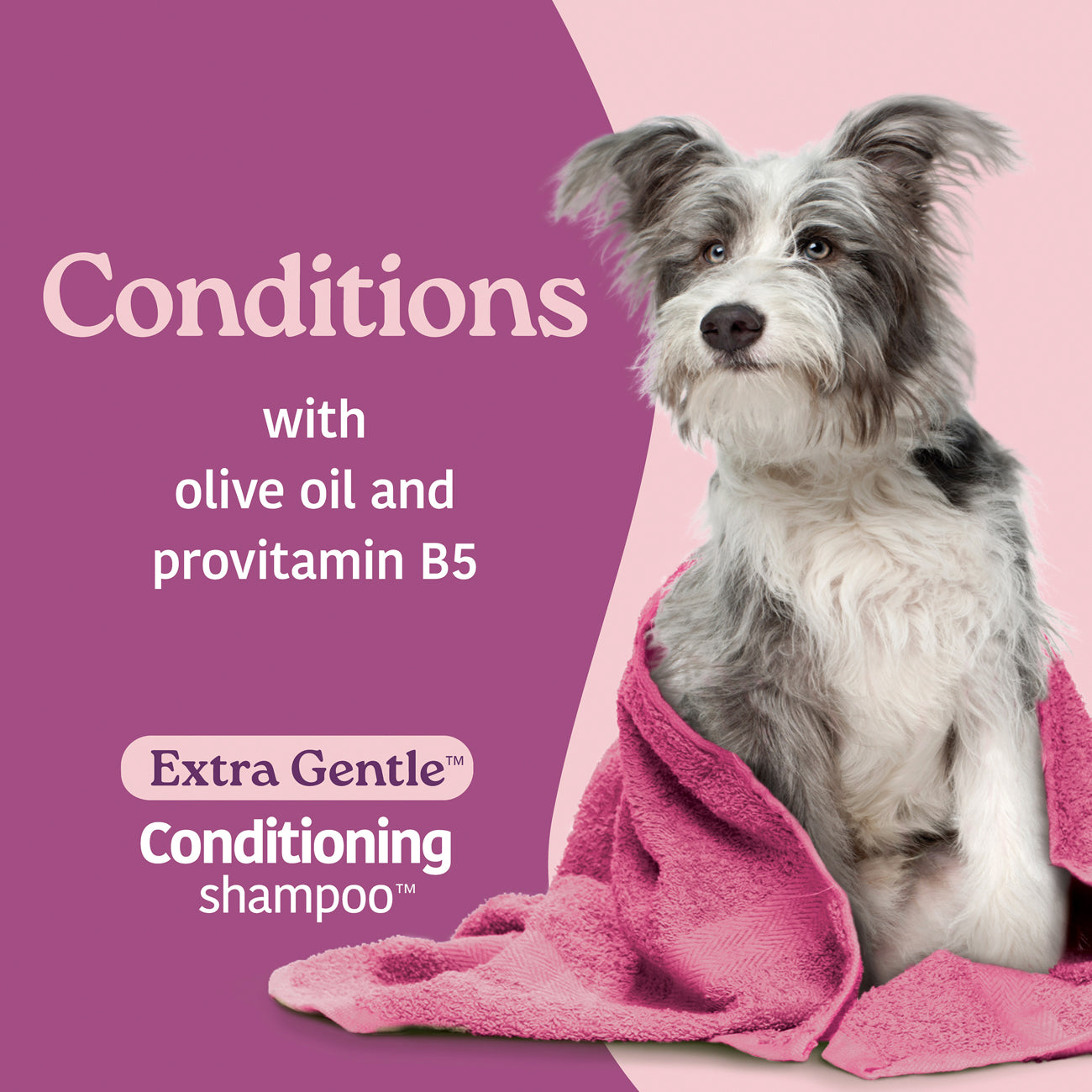 Dog wrapped in a pink towel with text about olive oil and provitamin B5 