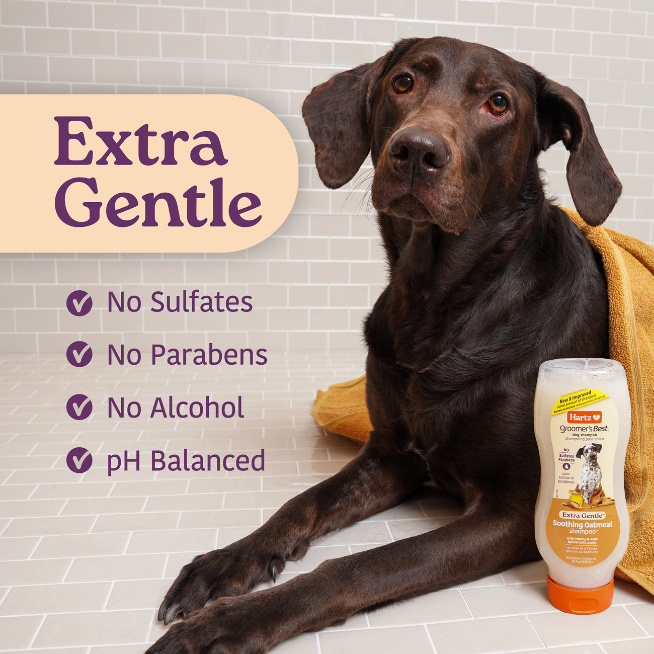 GB-ExtraGentle_Oatmeal_1300x1300_205c967e-bd25-4db2-9509-4010a445c328