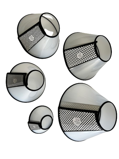 Pet Pioneer Collar cónico para perros 