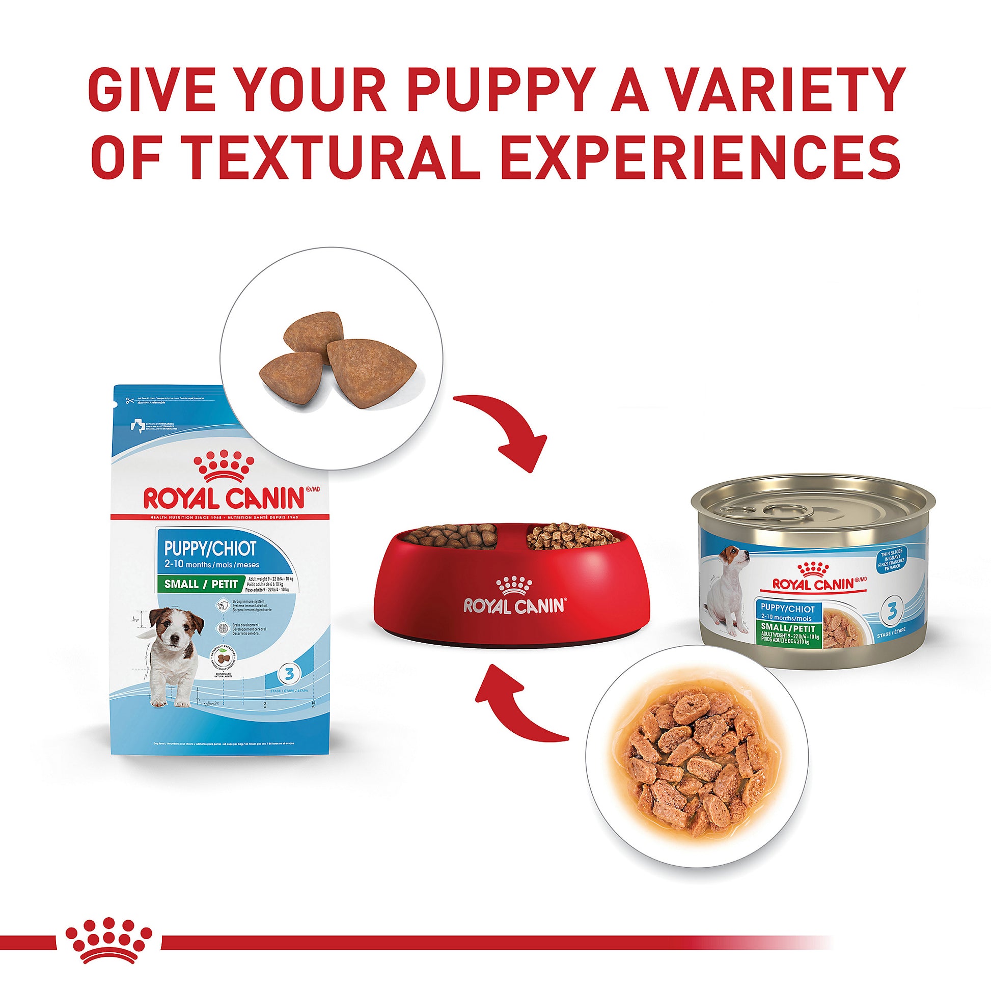 Royal Canin - Alimento seco para cachorros pequeños C