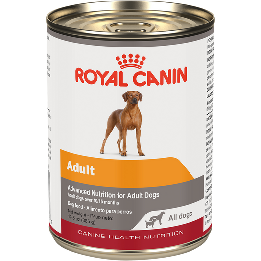 Royal Canin  Alimento enlatado para perro adulto  en Gel  Front