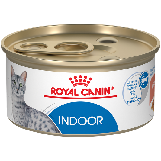 Royal Canin Alimento humedo para gato adulto y esterilizado domestico