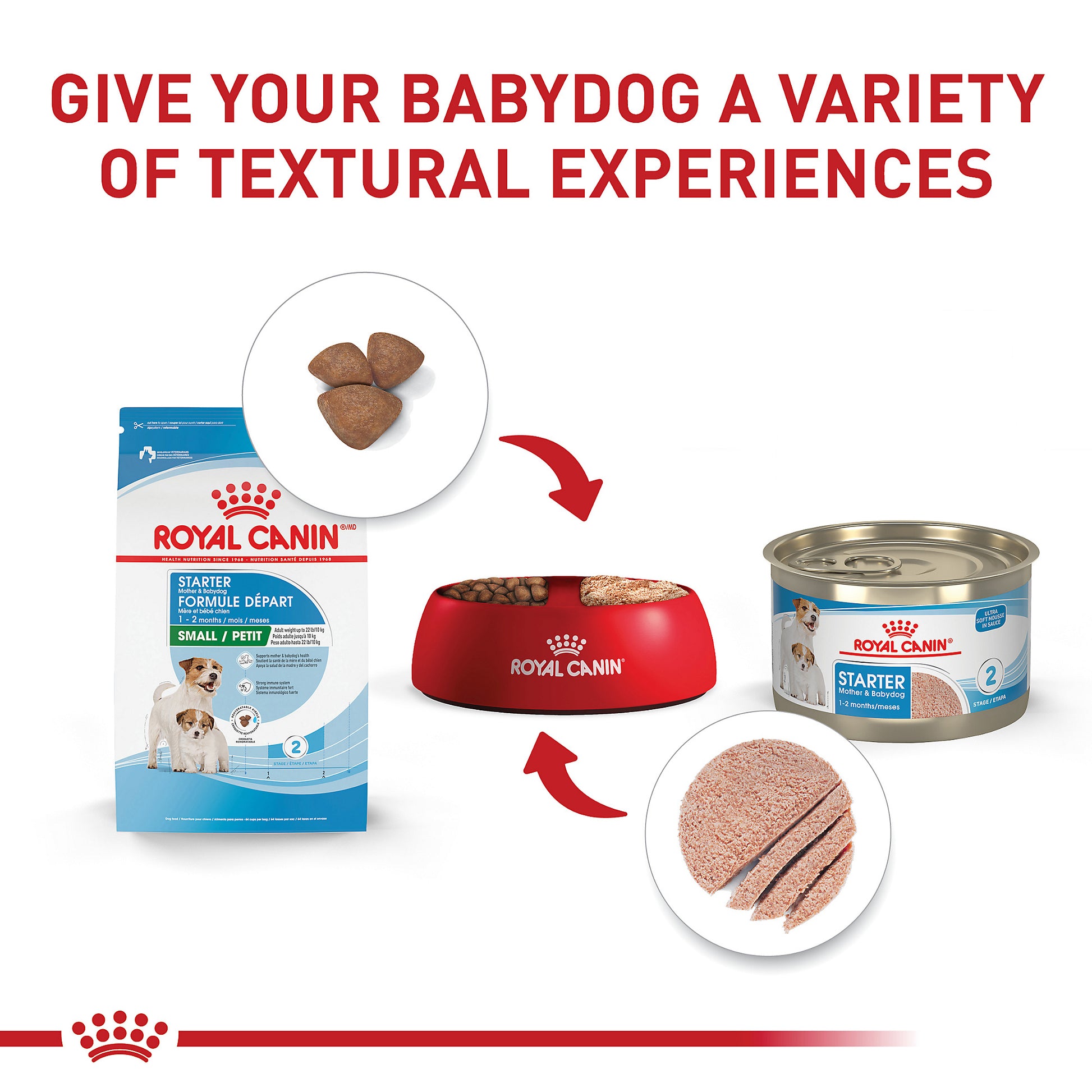 Royal Canin Crema de iniciación húmeda para la madre y sus bebés e