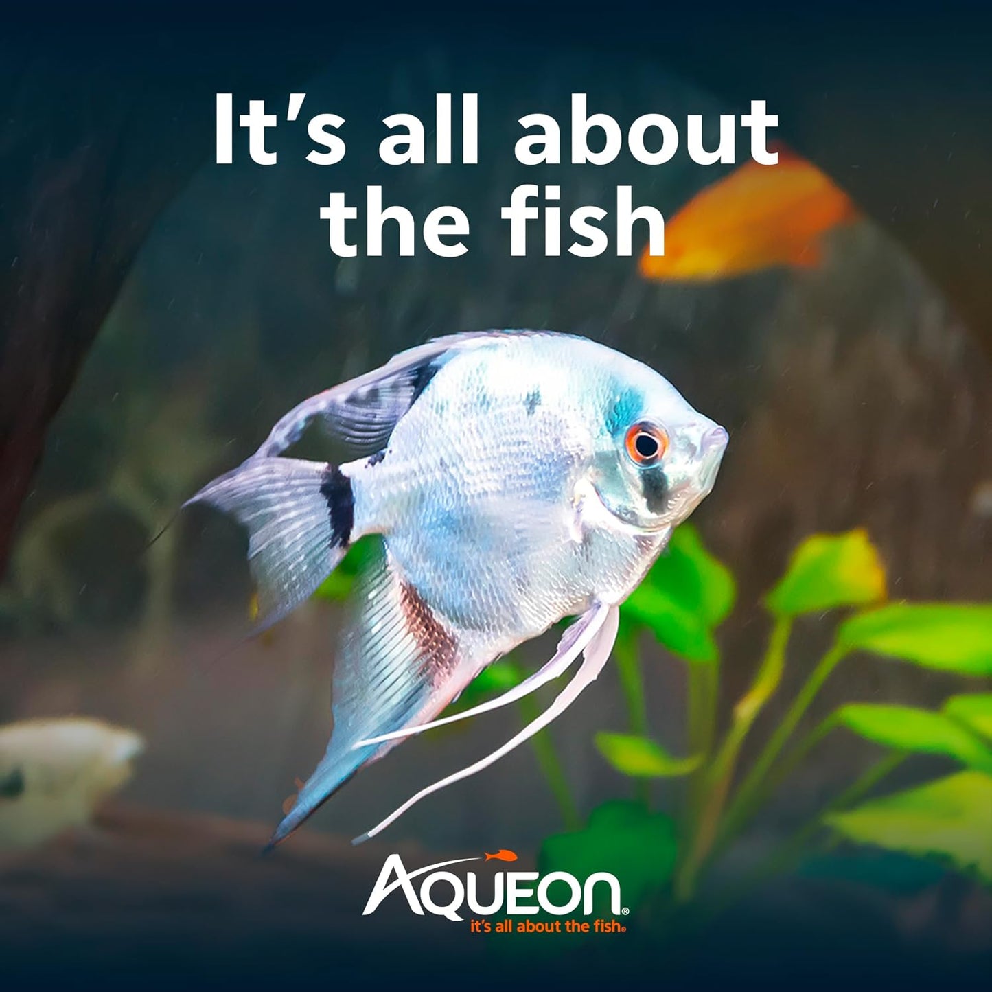 Aqueon Aquarium Essentials Kit  FISH