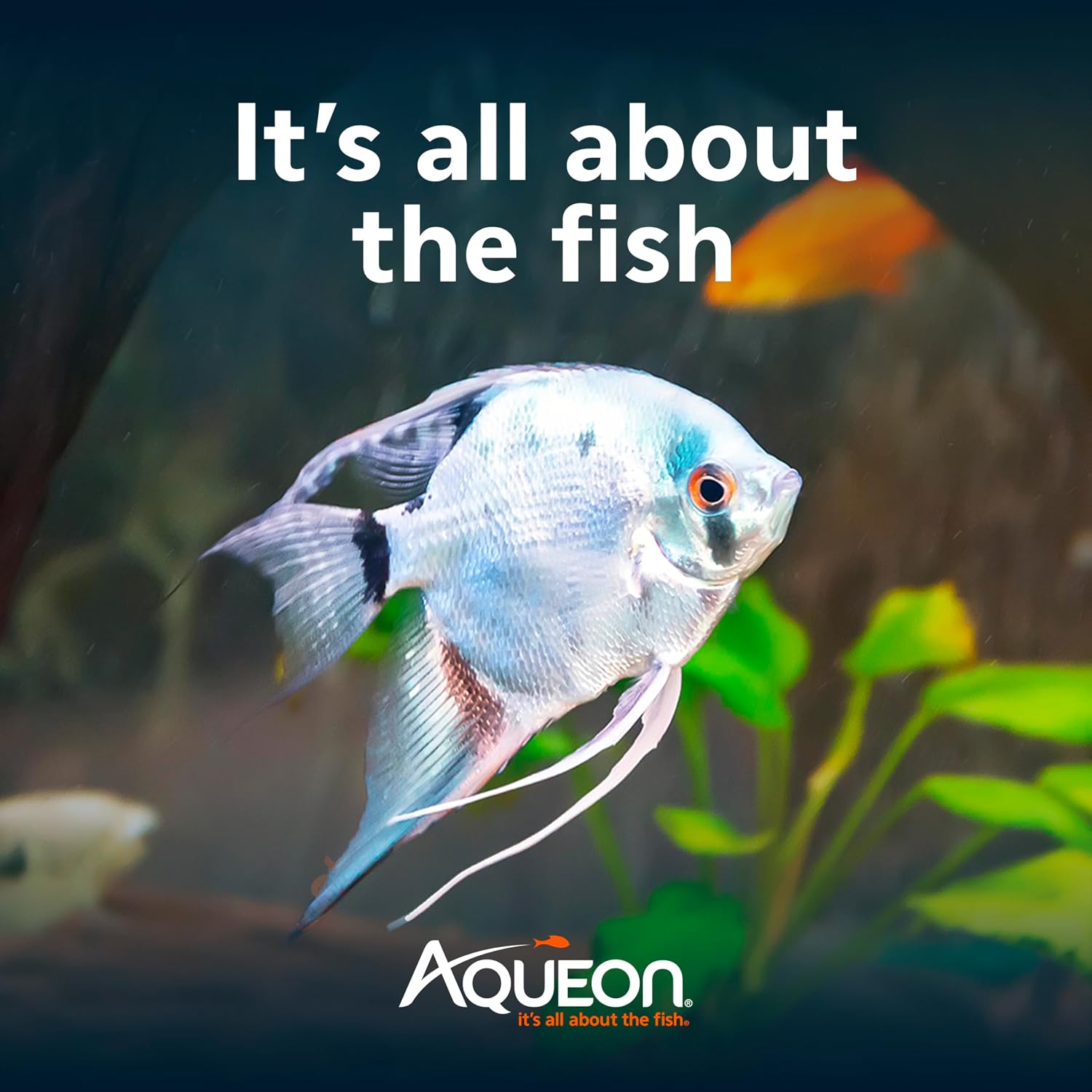 Aqueon Aquarium Essentials Kit  FISH