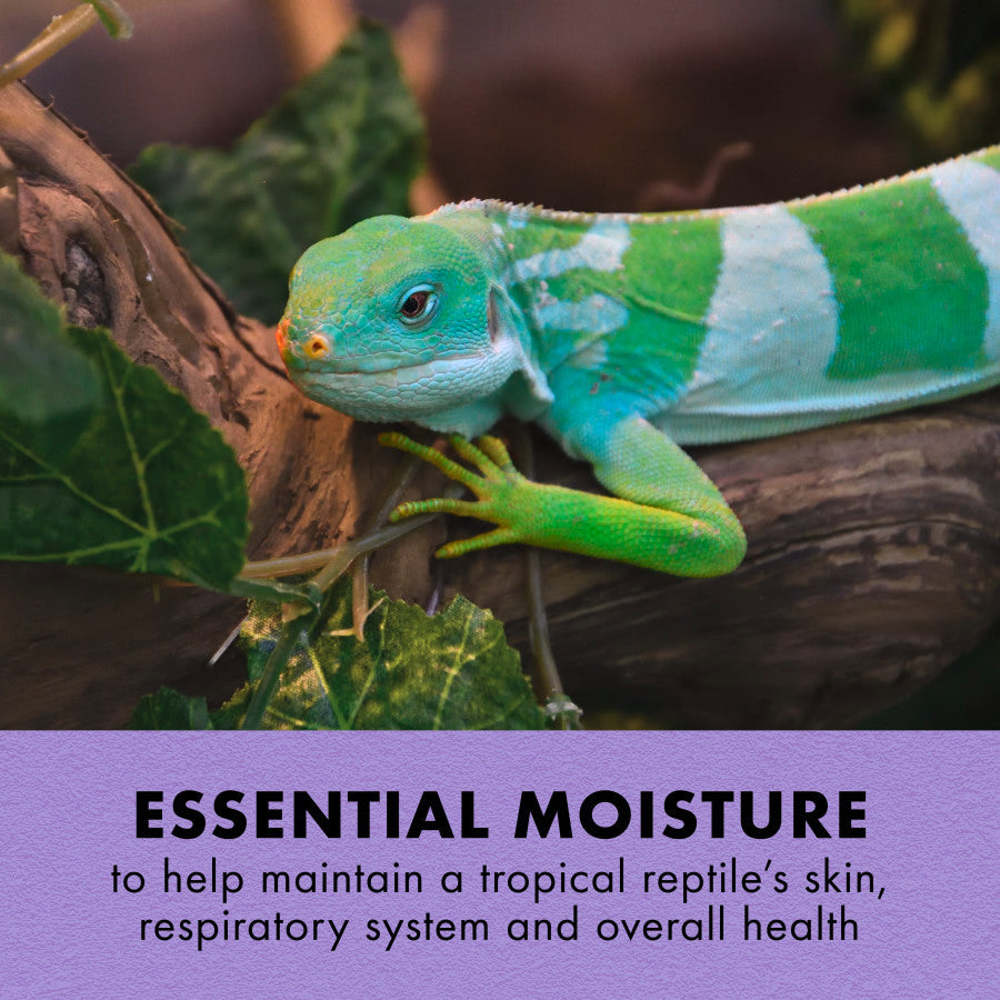 Zilla Tropical Mist Humidity Spray L