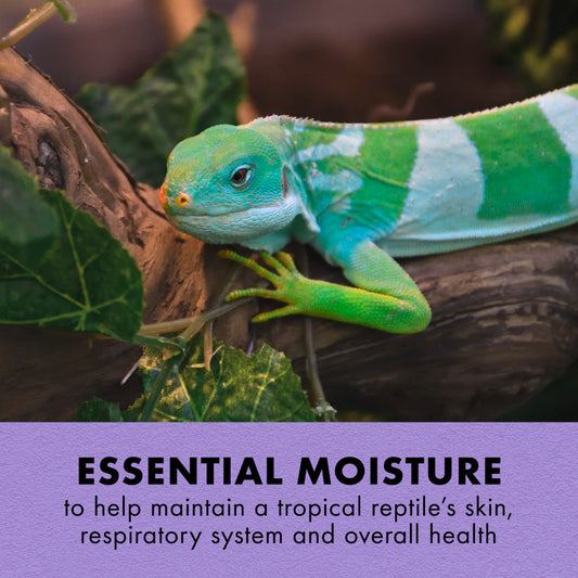 Zilla Tropical Mist Humidity Spray L