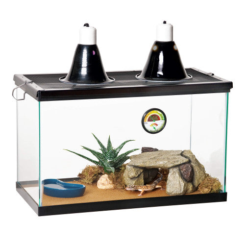 Zilla Kit básico de inicio del Desierto_Ideal reptiles pequeños