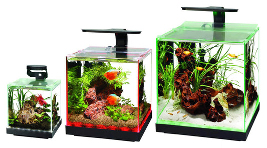 Three small aquariums with fish and plants on a white background