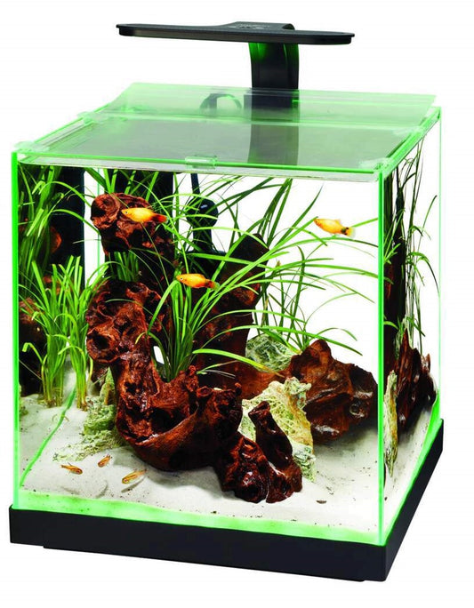 Medium aquarium with plants and a red fish on a white background