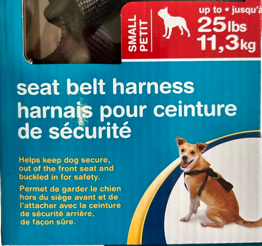 seat belt harness B