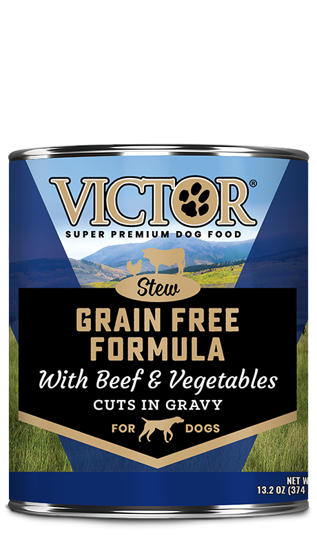 victor-dog-canned-food-grain-free-beef
